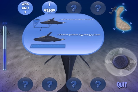 Humpback Whale Lite screenshot 4