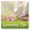 Gardening Tips