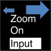 Zoom On Input