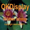 OKDisplay - an innovative music display program...