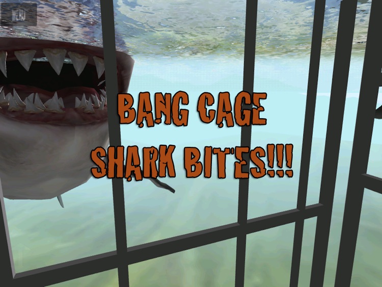 Shark Cage Dive HD 3D