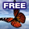 Butterflies (FREE)
