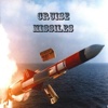 World Cruise Missiles