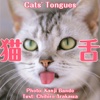 Cats' Tongues