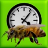 Bees Clock
