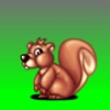 Virtual Squirrel