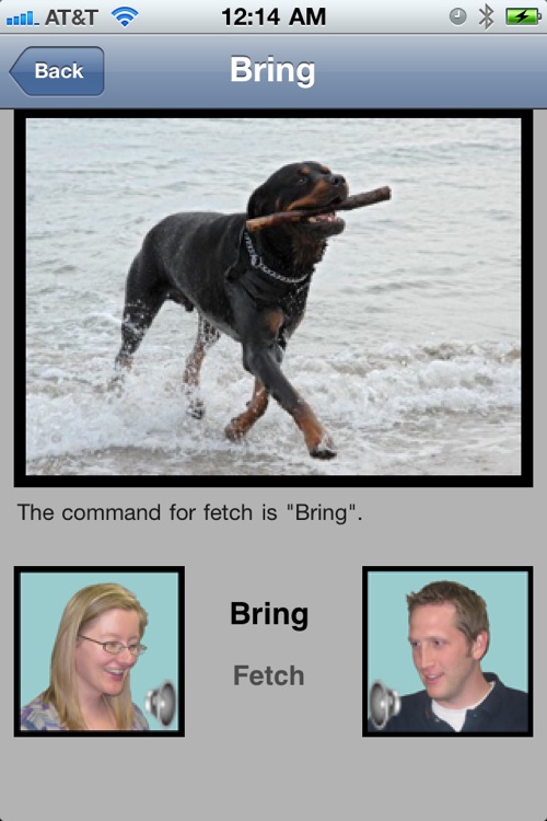 German Dog Commands