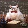 Chemistry Cat