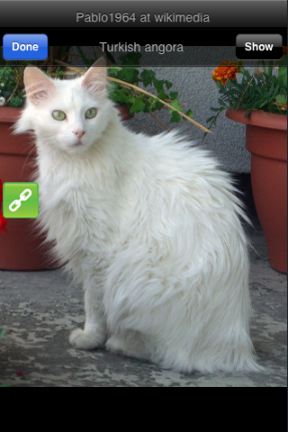 Cat Breeds screenshot 4