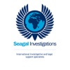 Private Investigator Detective UK