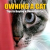 Owning A Cat