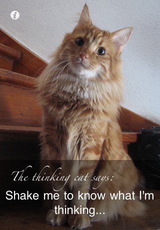 The Thinking Cat