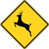 US Road Signs