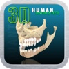 3D Teeth and Denture