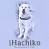 iHachiko