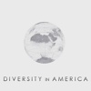 Diversity In America