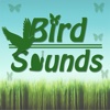 Bird Sounds +