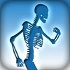 Skeletal System Terminology - HD