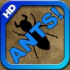 ANTS! HD