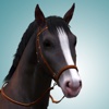 Equestrian Center - Horse Guide for The Sims 3: Pets