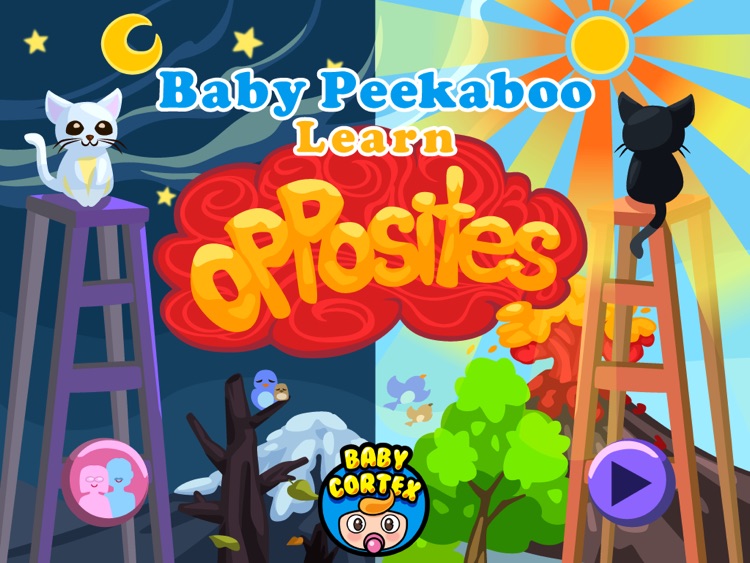 Baby Peekaboo: Learn Opposites!