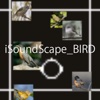 iSoundScape_BIRD
