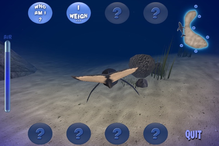 Humpback Whale Free screenshot-4