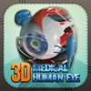 3D Medical Human Eye