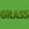 Wallpaper Grass