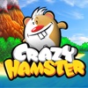 Crazy Hamster Free