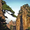 Yellow Mountains - 黄山 - China - UNESCO World Heritage