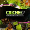 Cricket Moments