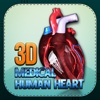 3D Medical Human Heart