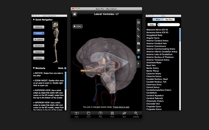 Brain Pro screenshot1