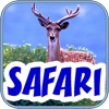 BabyFirst's Safari Defteri