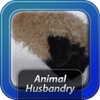 Animal Husbandry