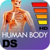 HD Human Anatomy Digital Study