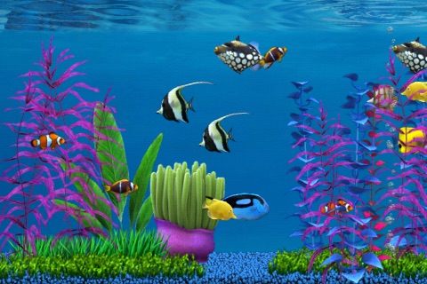 Colorful Aquarium