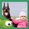 I Like Dogs - Dog Pictures Book for Kids