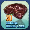 3D Medical Human Liver