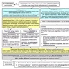 STAT Influenza Algorithm