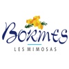 Bormes les Mimosas