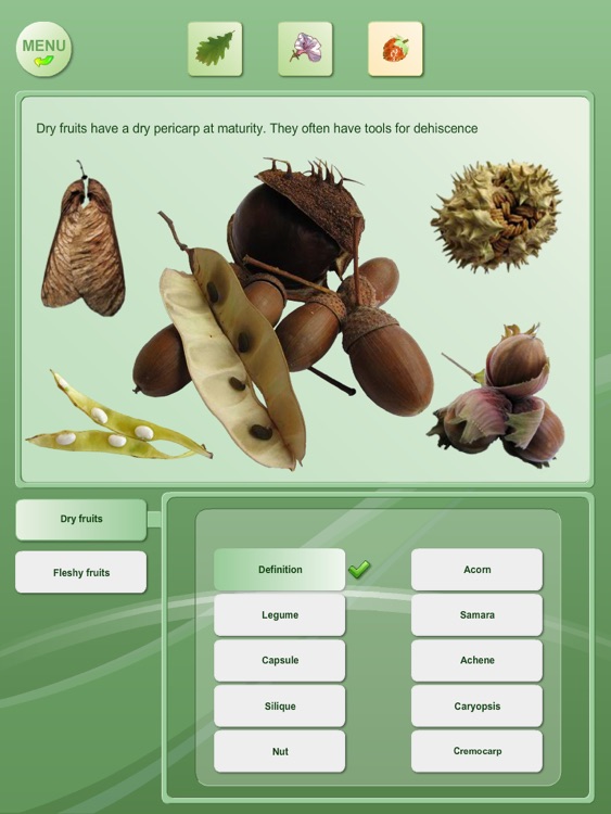 Biology - Plant handbook Free screenshot-4