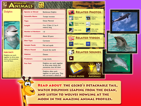 World Book's World of Animals screenshot 2