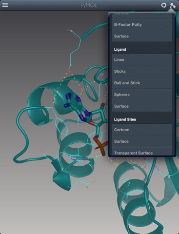 PyMOL screenshot 4