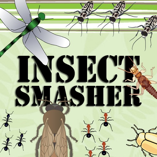 Insect Smasher ! icon