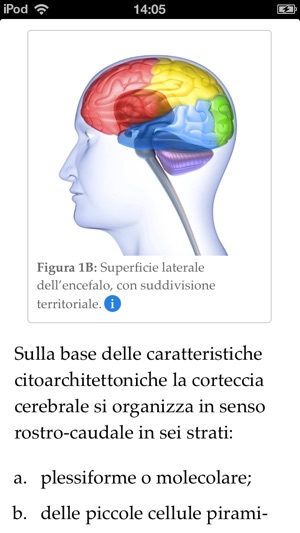 EEG Guide