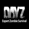 DayZ Ultimate Guide