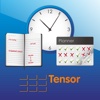 Tensor Mobile SSM
