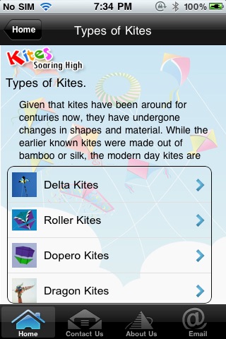 Kites screenshot 4